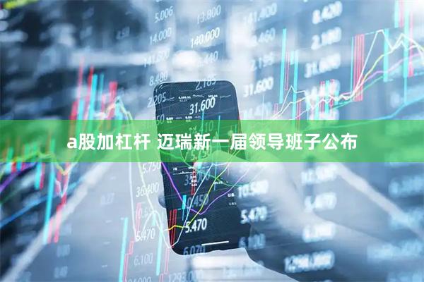 a股加杠杆 迈瑞新一届领导班子公布