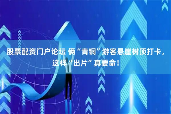 股票配资门户论坛 俩“青铜”游客悬崖树顶打卡，这样“出片”真要命！